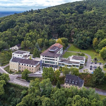 Kloster Neustadt Neustadt an der Weinstraße Buitenkant foto