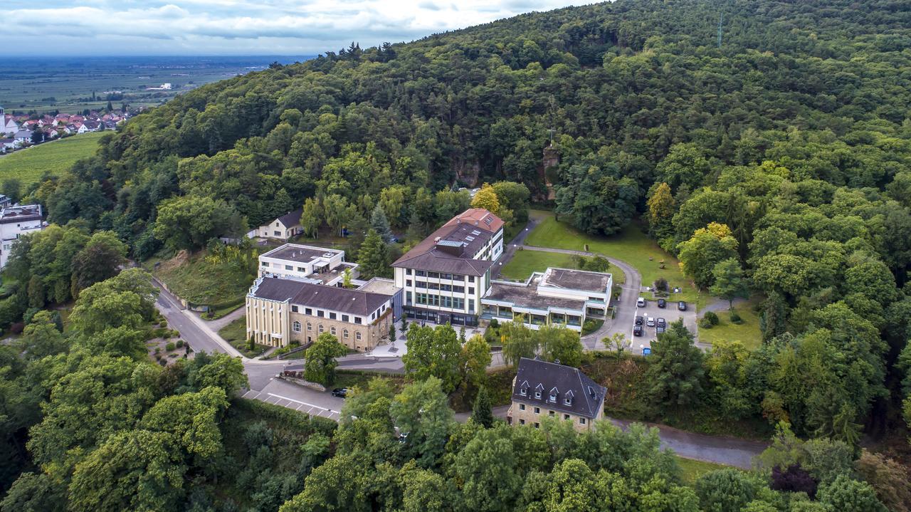 Kloster Neustadt Neustadt an der Weinstraße Buitenkant foto